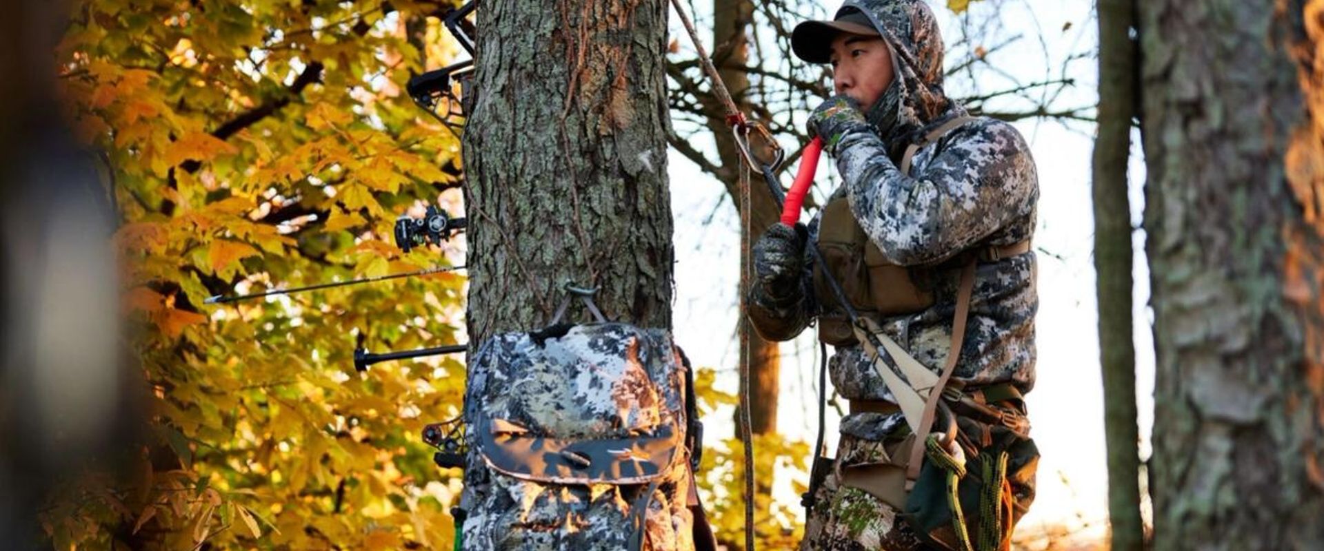Hunter in tree using deer call, best deer calls for pre-rut concept.