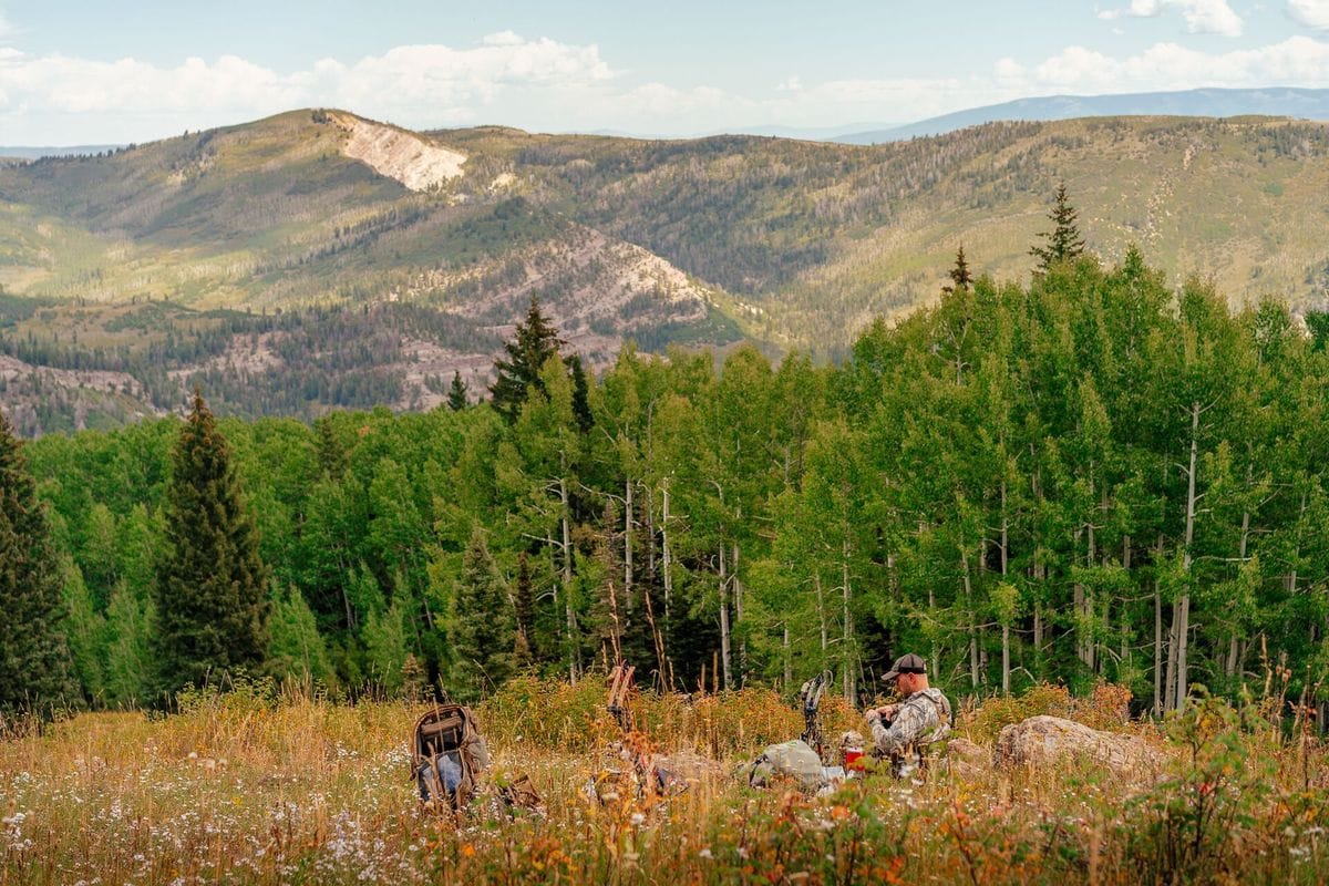 A hunter overlooks trees in a valley and mountains, how does hunting support conservation efforts concept.