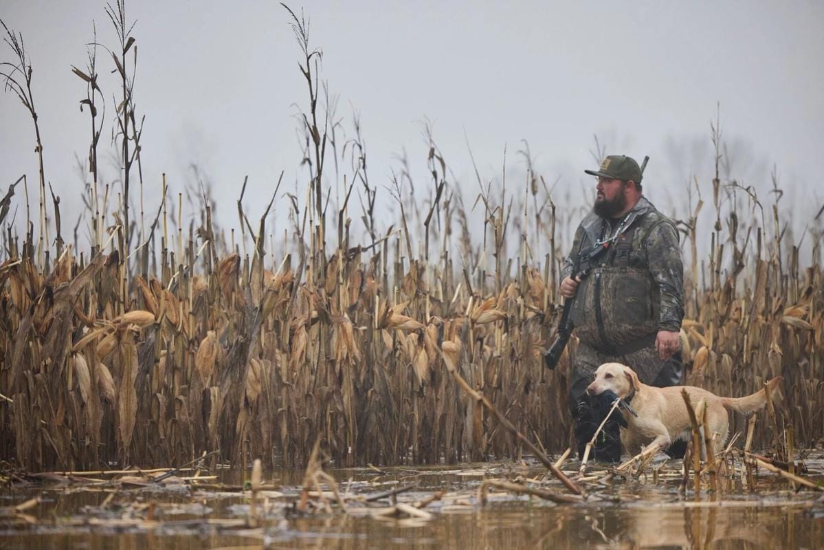 A hunter hunts waterfowl with a dog, ethics in hunting concept.