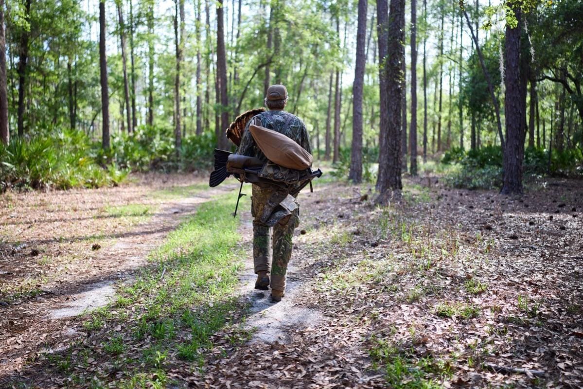A hunter carries turkey hunting gear in the woods, how to hunt turkey in the spring concept.