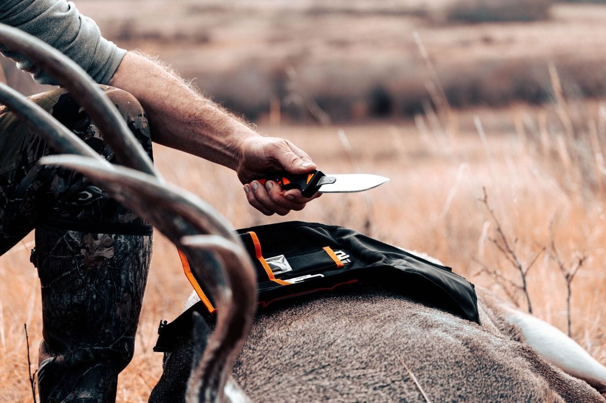Close-up of a hunter and a hunting knife on a deer kill.