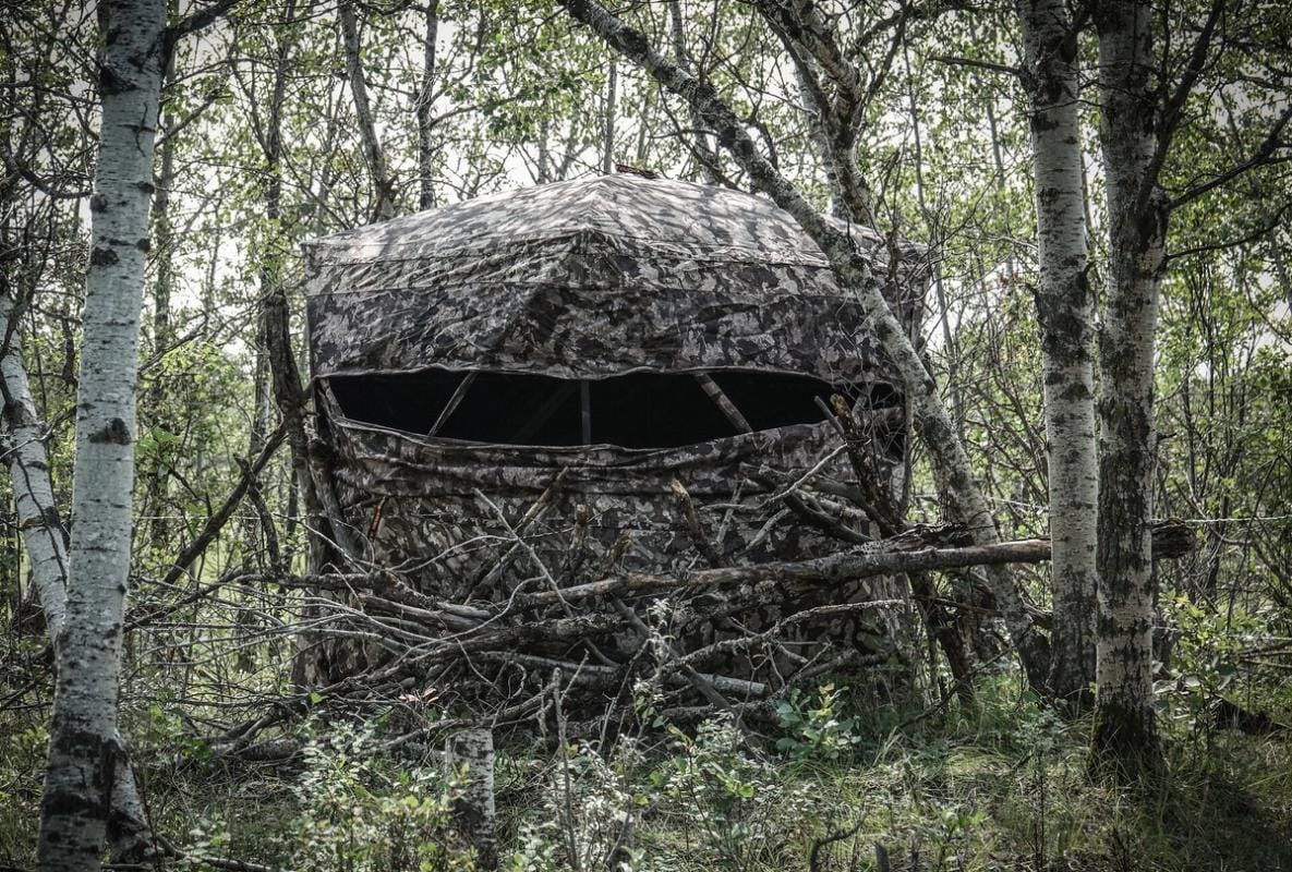 A ground blind hidden in some trees.