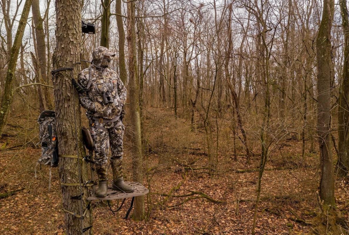 A hunter in camo in a tree stand looks out into the woods.