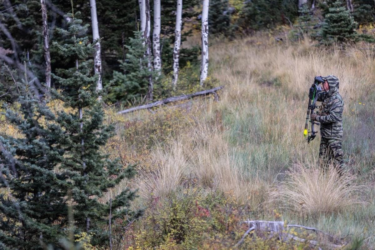Hunter using binoculars in the woods, spot and stalk mule deer concept.