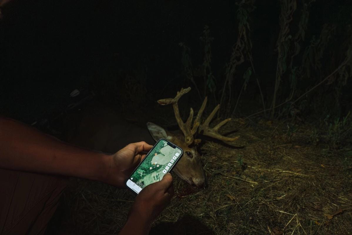 Hunter holding phone showing HuntWise with deer nearby, how to plan a deer hunt concept.