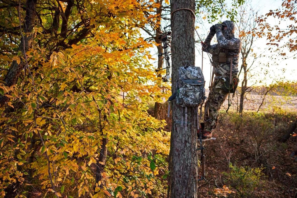 Hunter using binoculars in a tree stand, how to hang tree stand for bowhunting concept.