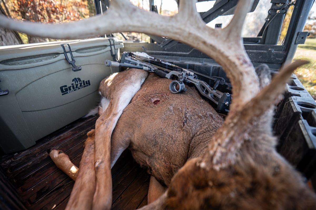 Buck deer in back of ATV showing the shot, deer shot placement concept.