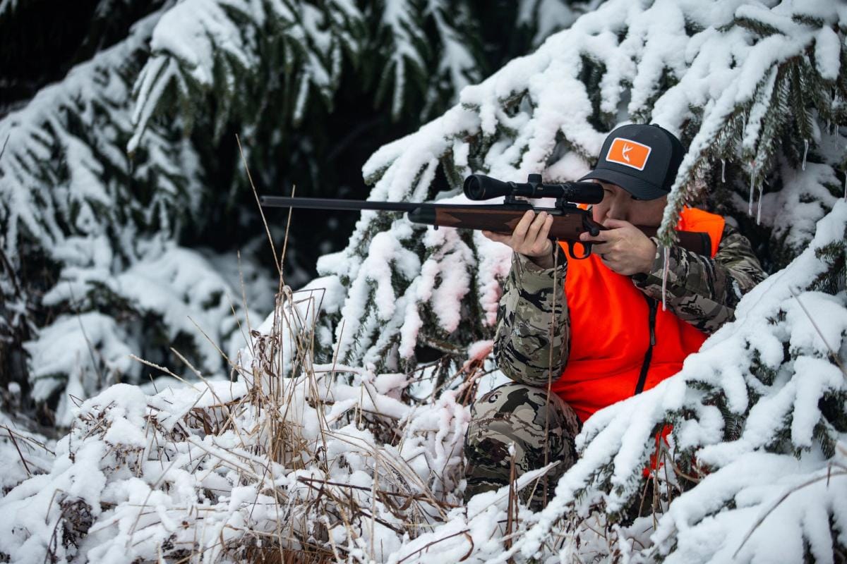 A hunter aims a rifle while hidden in snowy trees, hunting whitetail in winter concept.