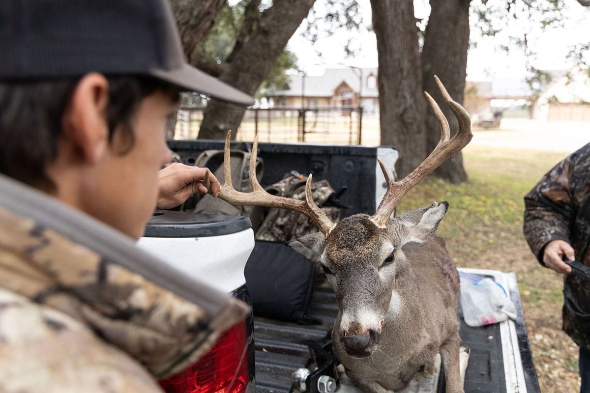 A hunter holds up the antlers of a buck in the back of a truck, best deer hunting states concept.