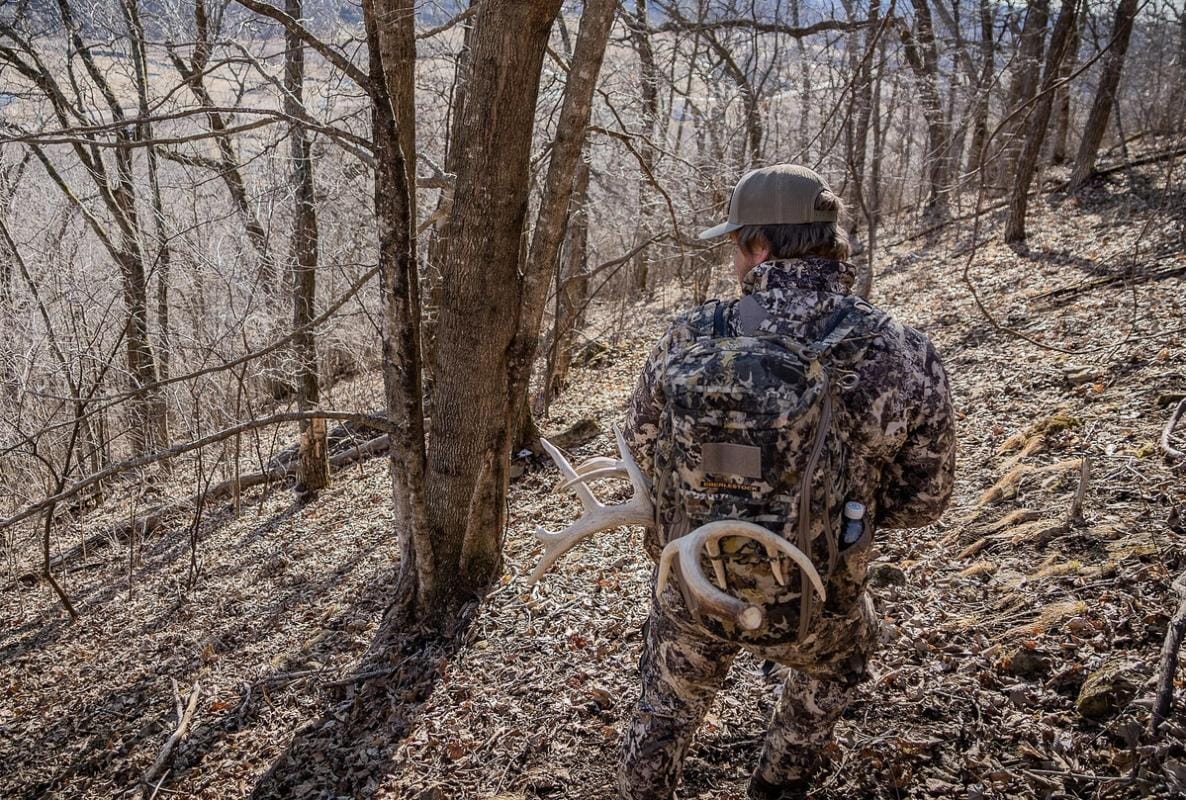 A hunter in the woods wearing a pack with shed antlers attached.