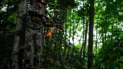 A hunter with a bow wearing camo while in a tree stand, hunt big bucks in thickets concept.
