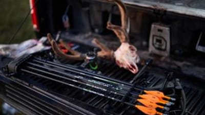 Arrows with deer skull and antlers on truck tailgate, archery season whitetail concept.