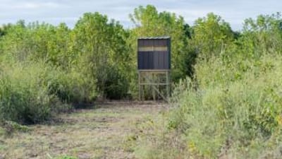 A DIY hunting blind in the woods, how to build a ground blind concept.