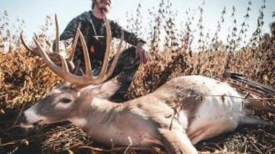 A hunter with a deer after a kill shot, hunting whitetail deer concept.