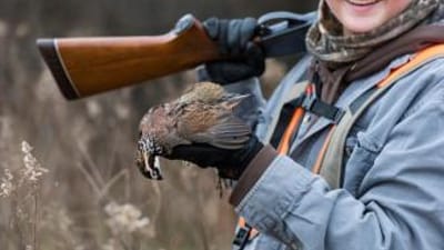 Young hunter with shotgun holds quail, quail hunting tip concept.