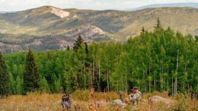 A hunter overlooks trees in a valley and mountains, how does hunting support conservation efforts concept.