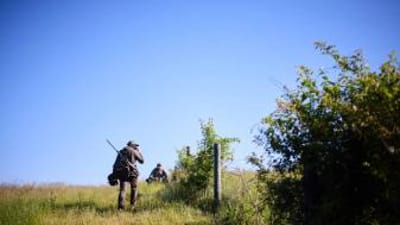 Two hunters near fence in field, walk-in hunting programs concept.