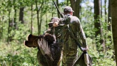 Boy carries turkey with man after hunt, turkey hunting season South Carolina concept.
