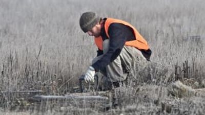 A hunter sets an animal trap in a field.