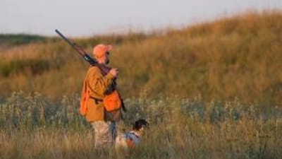 A hunter in blaze orange holding a shotgun with a dog in a field, dove season Georgia concept.