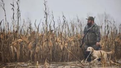 A hunter hunts waterfowl with a dog, ethics in hunting concept.