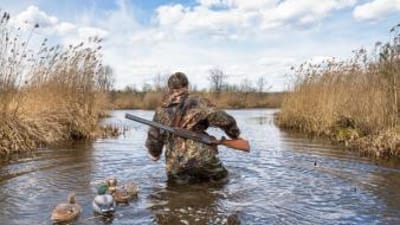 A duck hunter wades in water and tall reeds with shotgun and decoys, Texas duck season concept.