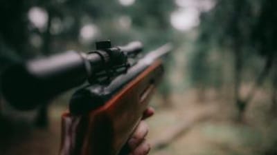 A rifle pointing into the woods, choosing hunting rifles concept.