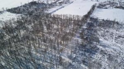 An overhead view of hunting land in the snow, January deer hunting concept.