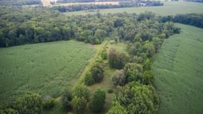 Overhead view of green parcels of land, how to find property lines in Arkansas concept. 