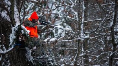 A hunter in blaze orange aims a rifle while in a tree stand, late-season whitetail hunting concept.