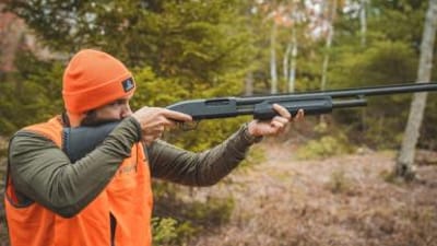 Hunter in blaze orange aims shotgun, find the best dove hunting near me concept.