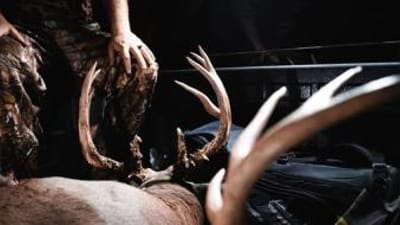 Hunter with buck deer in back of truck, Louisiana deer season 2026 concept.