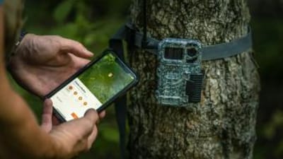 A trail cam on a tree and hunter using HuntWise app, deer hunting off season prep concept.