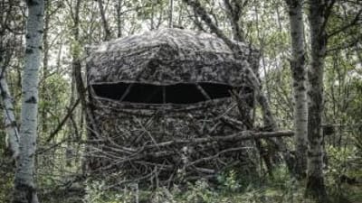 A ground blind hidden in some trees.