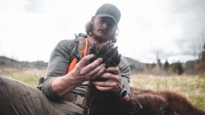 A hunter holds a bear paw, black bear hunting concept.