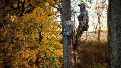 Hunter sits in a tree saddle for a hunt.