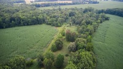 Aerial view of green hunting land, how to find property lines in Delaware concept. 