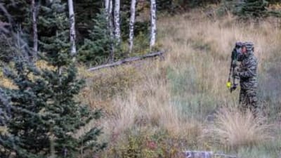 Hunter using binoculars in the woods, spot and stalk mule deer concept.