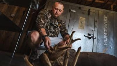Hunter with buck deer after hunt in front of cooler, hunting whitetail before the rut concept.