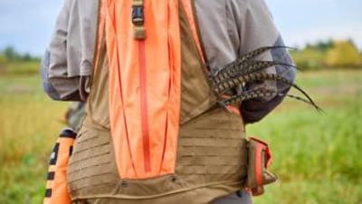 Back view of a bird in a hunter's orange pack, hunting pheasants in different weather concept.