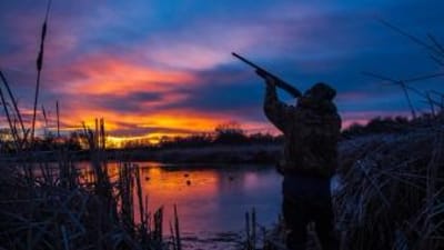 A hunter aiming a shotgun at dusk, early goose MN season concept.
