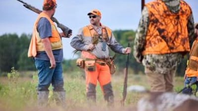 Three hunters in blaze orange ready for hunt, pheasant hunting Wisconsin concept.