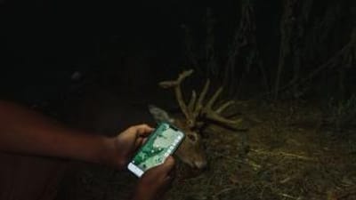 Hunter holding phone showing HuntWise with deer nearby, how to plan a deer hunt concept.