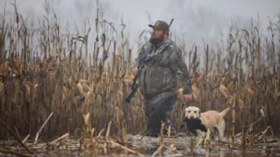 Hunter with dog carrying duck in water, find duck hunting spots concept.