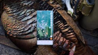 Phone showing the HuntWise turkey hunting app on a turkey after hunt.