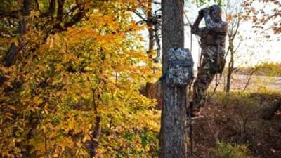 Hunter using binoculars in a tree stand, how to hang tree stand for bowhunting concept.