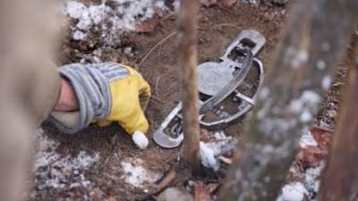 Close-up of a trap set by a hunter, Missouri trapping season concept.