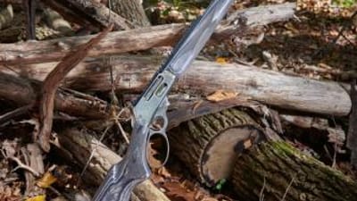 A lever action rifle sits upright against a log.