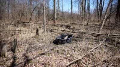 A watering hole for deer in the woods.
