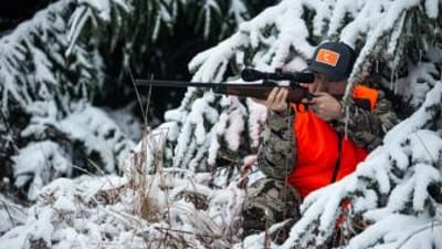 A hunter aims a rifle while hidden in snowy trees, hunting whitetail in winter concept.